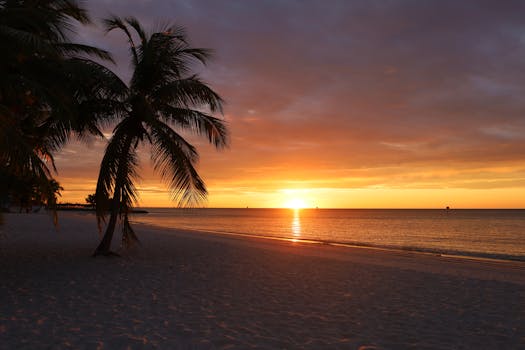 Experience a breathtaking sunset over the tranquil sea at a sandy beach in Key West.