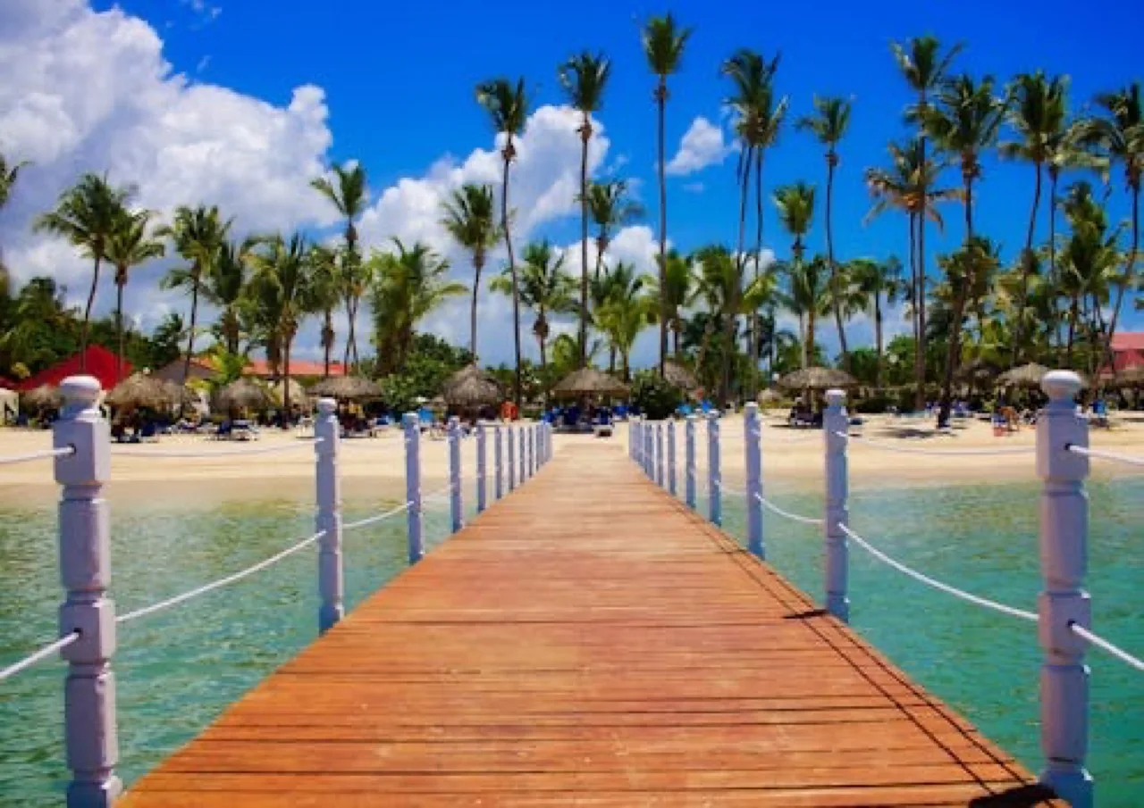 Wooden dock leading to a tropical beach resort with palm trees and clear blue waters.